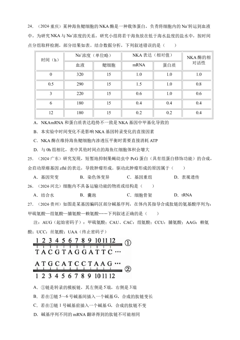 专题10基因的表达_生物真题汇总_&radic;近三年（2023-2025）高考生物真题分专项精编_真题分专项汇编