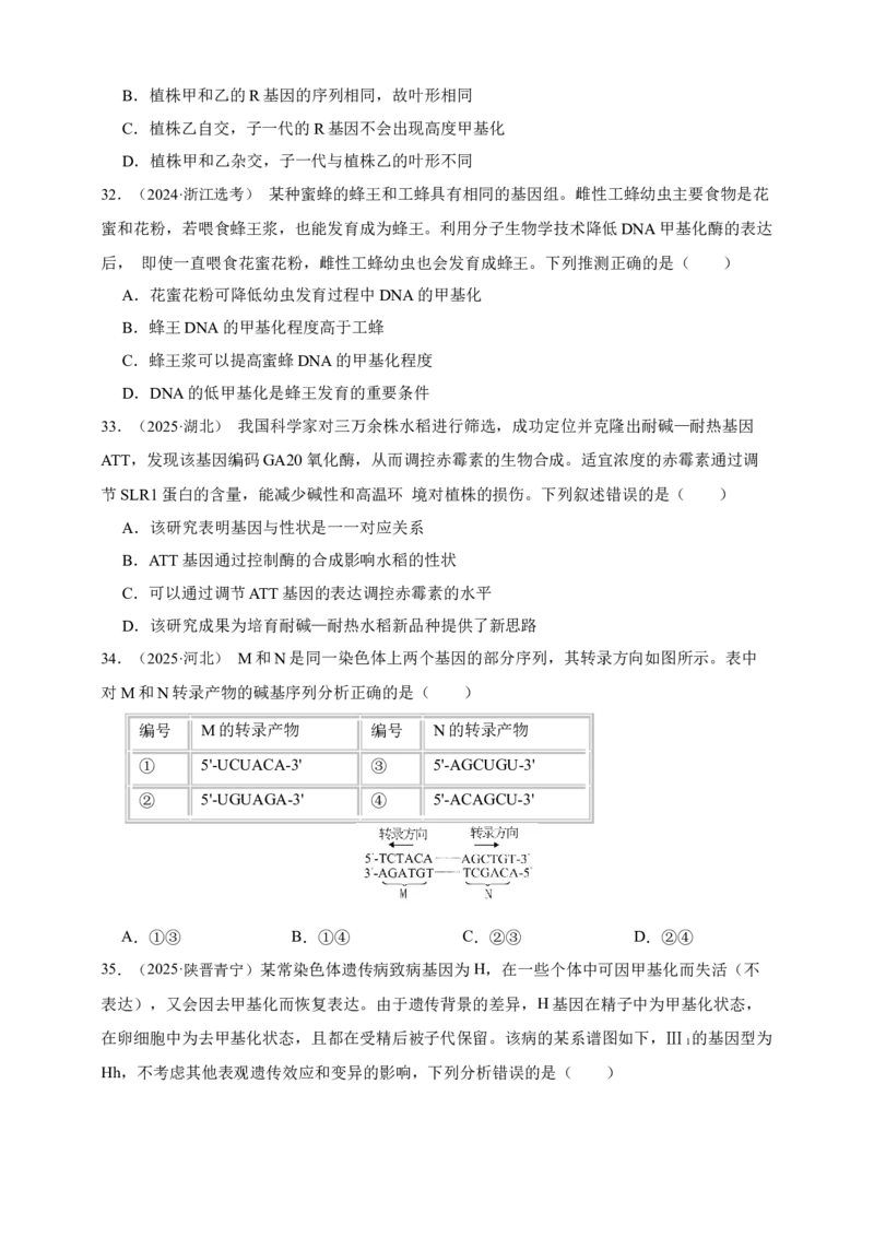 专题10基因的表达_生物真题汇总_&radic;近三年（2023-2025）高考生物真题分专项精编_真题分专项汇编