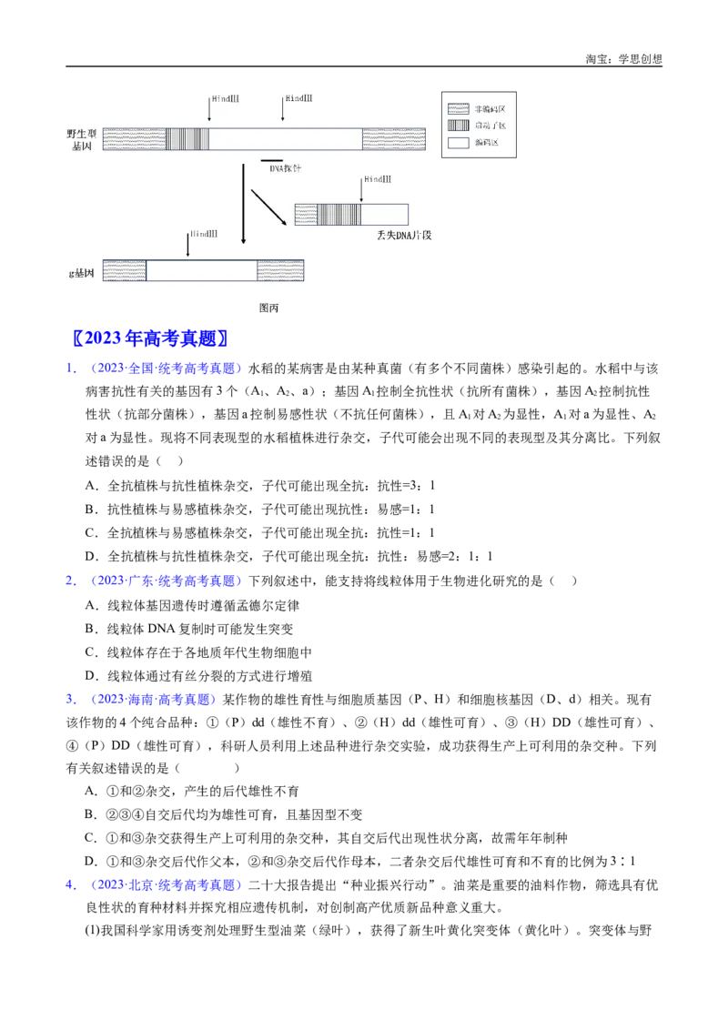 专题11基因的分离定律-好题汇编十年（2015-2024）高考生物真题分类汇编（全国通用）（原卷版）_生物真题汇总_十年（2014-2024）高考生物真题分项汇编（全国通用）