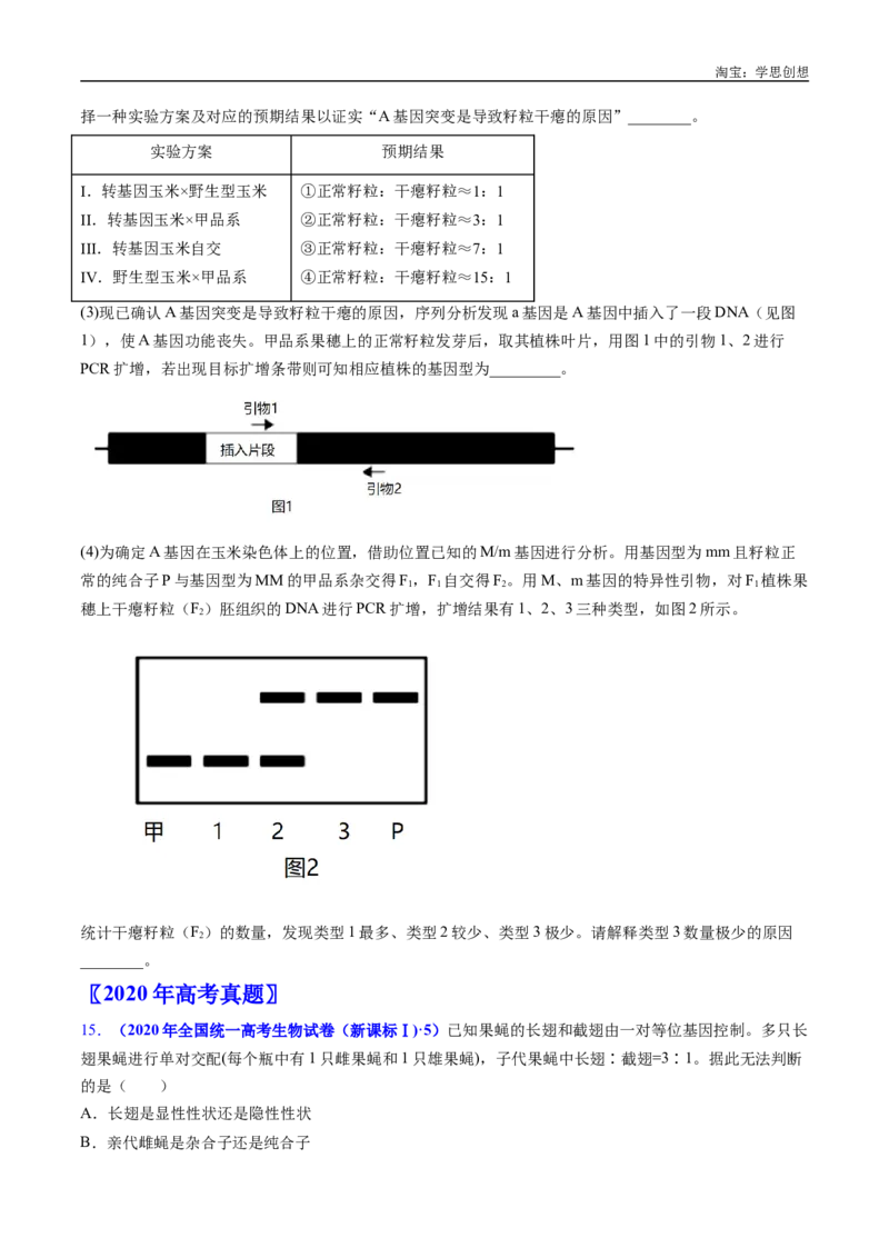 专题11基因的分离定律-好题汇编十年（2015-2024）高考生物真题分类汇编（全国通用）（原卷版）_生物真题汇总_十年（2014-2024）高考生物真题分项汇编（全国通用）