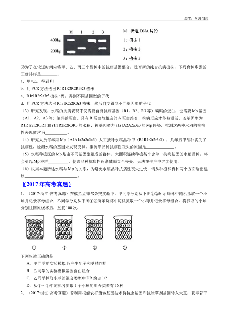 专题11基因的分离定律-好题汇编十年（2015-2024）高考生物真题分类汇编（全国通用）（原卷版）_生物真题汇总_十年（2014-2024）高考生物真题分项汇编（全国通用）
