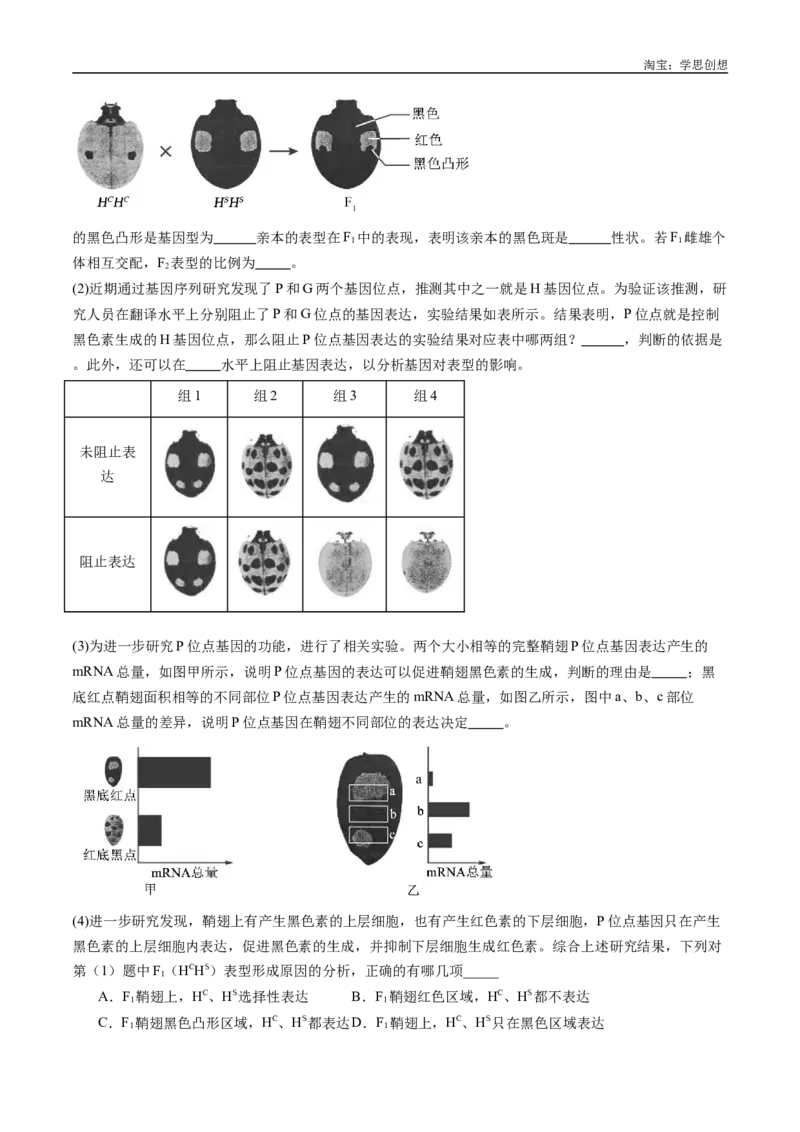 专题11基因的分离定律-好题汇编十年（2015-2024）高考生物真题分类汇编（全国通用）（原卷版）_生物真题汇总_十年（2014-2024）高考生物真题分项汇编（全国通用）