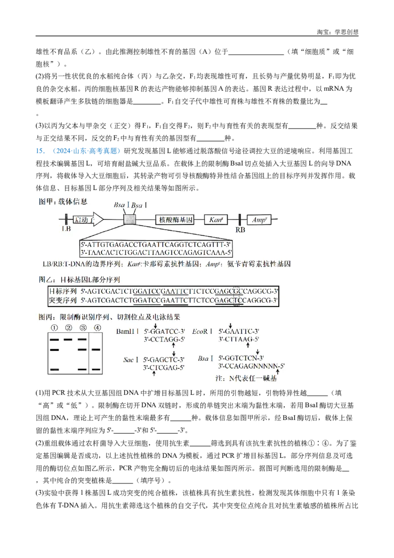 专题11基因的分离定律-好题汇编十年（2015-2024）高考生物真题分类汇编（全国通用）（原卷版）_生物真题汇总_十年（2014-2024）高考生物真题分项汇编（全国通用）