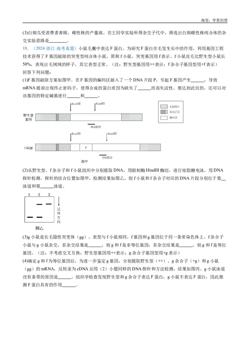 专题11基因的分离定律-好题汇编十年（2015-2024）高考生物真题分类汇编（全国通用）（原卷版）_生物真题汇总_十年（2014-2024）高考生物真题分项汇编（全国通用）