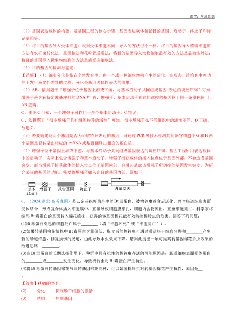 专题09细胞的分化、衰老、凋亡及癌变-好题汇编十年（2015-2024）高考生物真题分项汇编（全国通用）（解析版）_生物真题汇总_十年（2014-2024）高考生物真题分项汇编（全国通用）