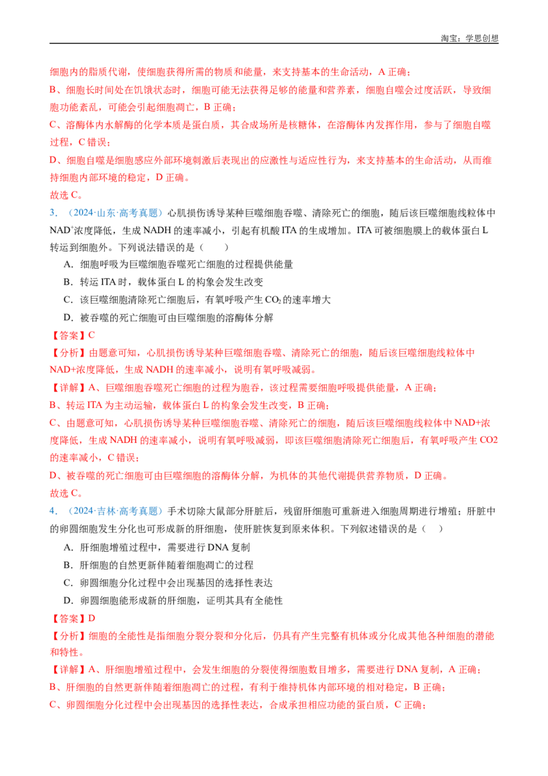 专题09细胞的分化、衰老、凋亡及癌变-好题汇编十年（2015-2024）高考生物真题分项汇编（全国通用）（解析版）_生物真题汇总_十年（2014-2024）高考生物真题分项汇编（全国通用）