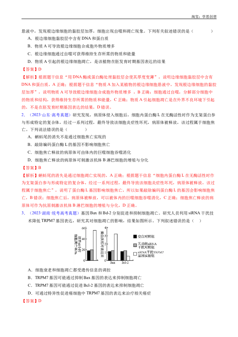专题09细胞的分化、衰老、凋亡及癌变-好题汇编十年（2015-2024）高考生物真题分项汇编（全国通用）（解析版）_生物真题汇总_十年（2014-2024）高考生物真题分项汇编（全国通用）