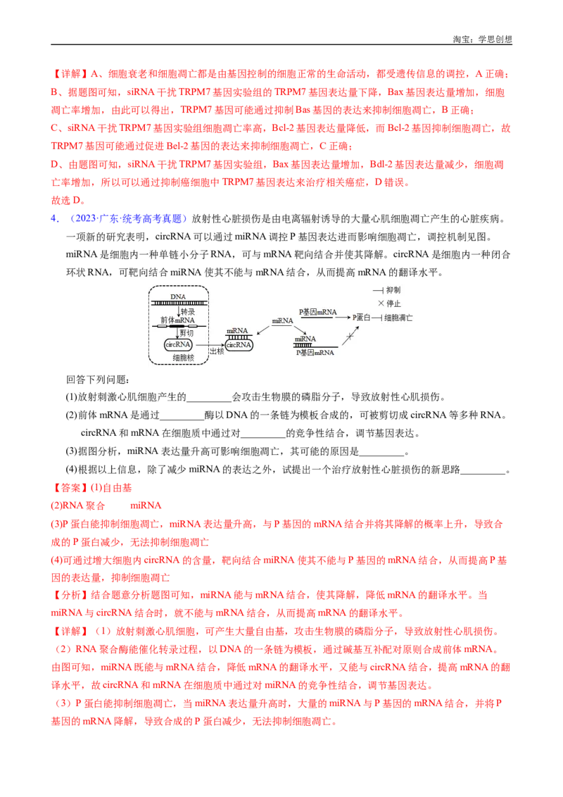 专题09细胞的分化、衰老、凋亡及癌变-好题汇编十年（2015-2024）高考生物真题分项汇编（全国通用）（解析版）_生物真题汇总_十年（2014-2024）高考生物真题分项汇编（全国通用）