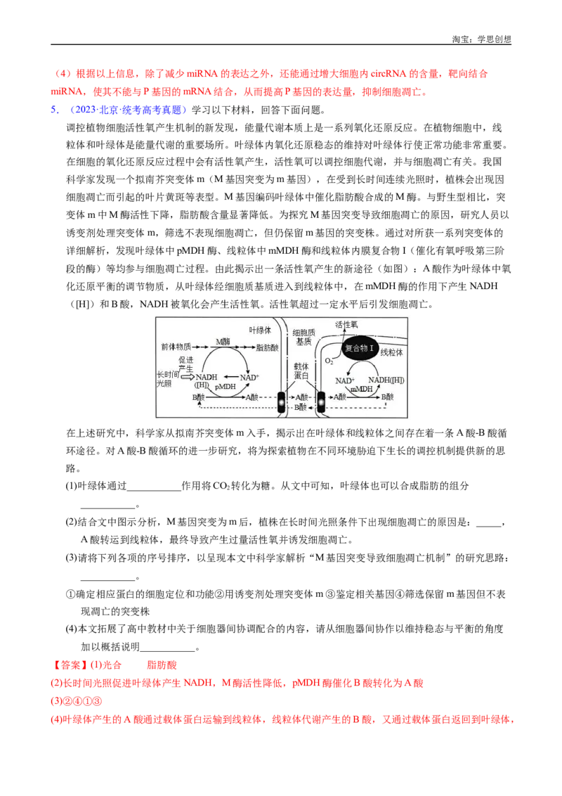 专题09细胞的分化、衰老、凋亡及癌变-好题汇编十年（2015-2024）高考生物真题分项汇编（全国通用）（解析版）_生物真题汇总_十年（2014-2024）高考生物真题分项汇编（全国通用）