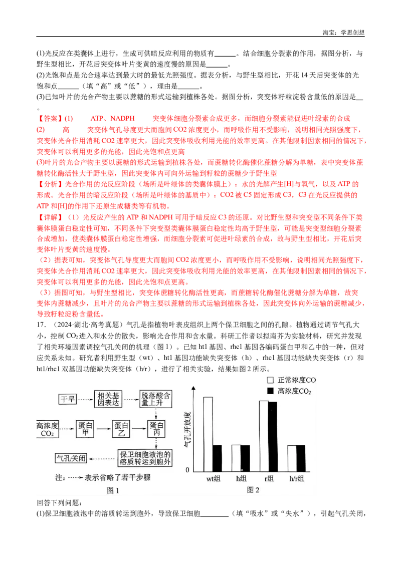 专题15植物激素的调节-好题汇编十年（2015-2024）高考生物真题分类汇编（全国通用）（解析版）_生物真题汇总_十年（2014-2024）高考生物真题分项汇编（全国通用）