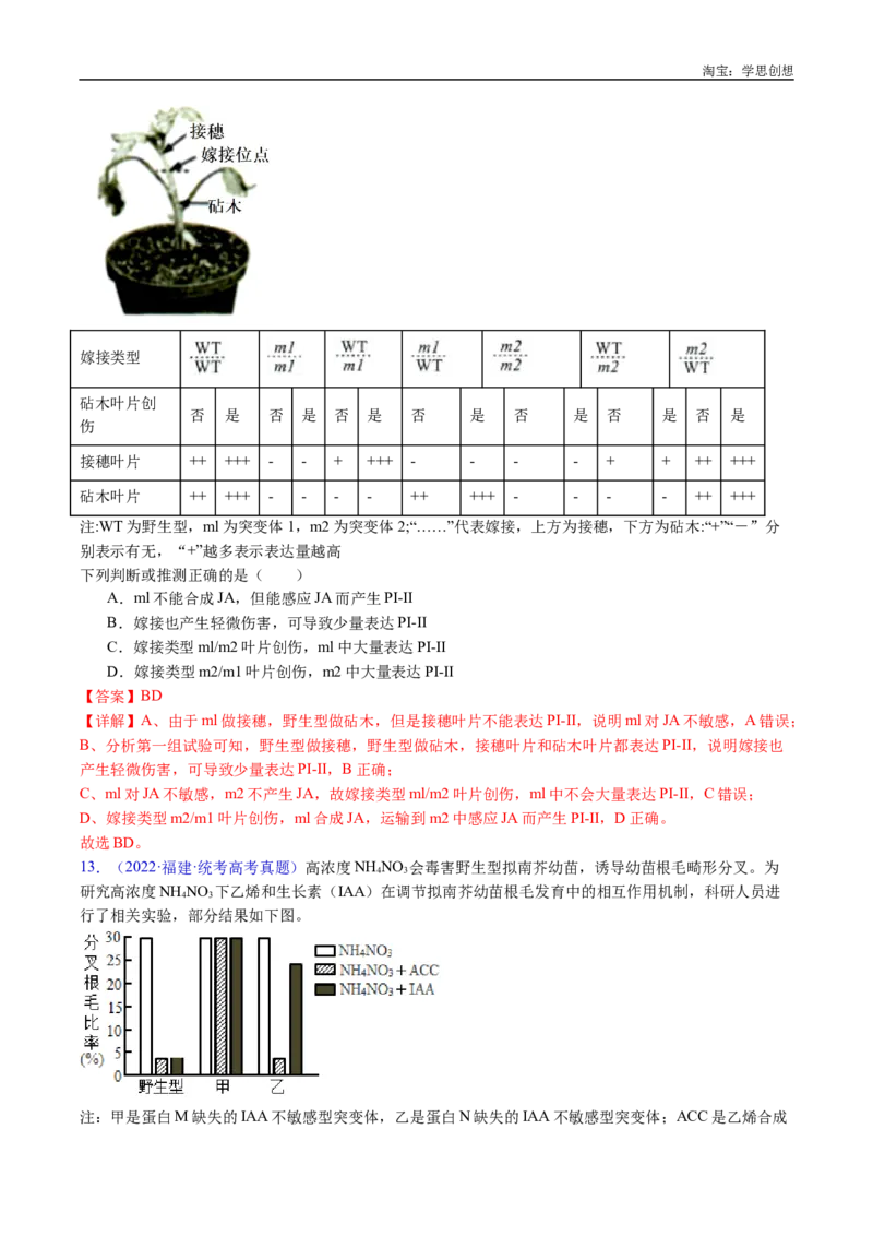 专题15植物激素的调节-好题汇编十年（2015-2024）高考生物真题分类汇编（全国通用）（解析版）_生物真题汇总_十年（2014-2024）高考生物真题分项汇编（全国通用）