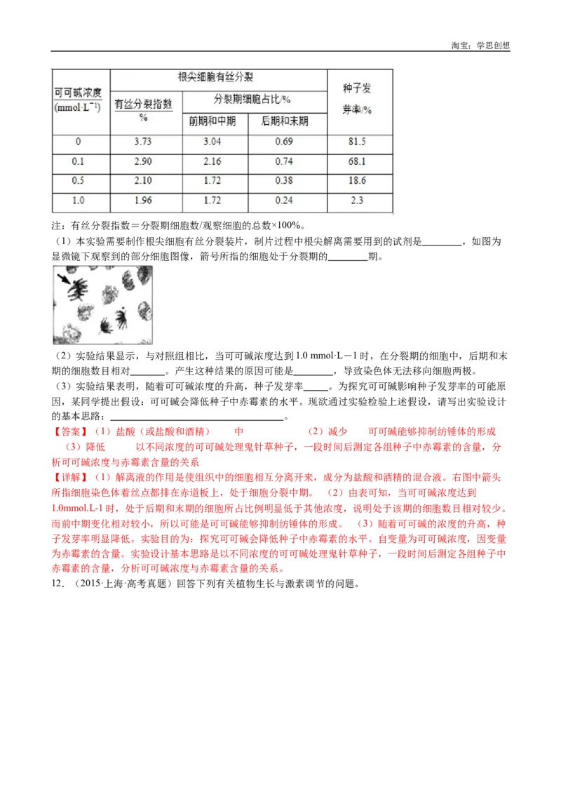 专题15植物激素的调节-好题汇编十年（2015-2024）高考生物真题分类汇编（全国通用）（解析版）_生物真题汇总_十年（2014-2024）高考生物真题分项汇编（全国通用）
