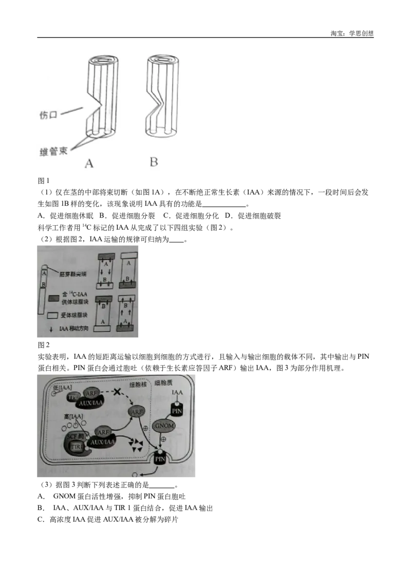 专题15植物激素的调节-好题汇编十年（2015-2024）高考生物真题分类汇编（全国通用）（解析版）_生物真题汇总_十年（2014-2024）高考生物真题分项汇编（全国通用）