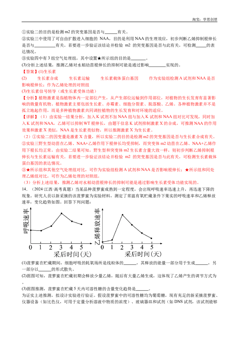 专题15植物激素的调节-好题汇编十年（2015-2024）高考生物真题分类汇编（全国通用）（解析版）_生物真题汇总_十年（2014-2024）高考生物真题分项汇编（全国通用）