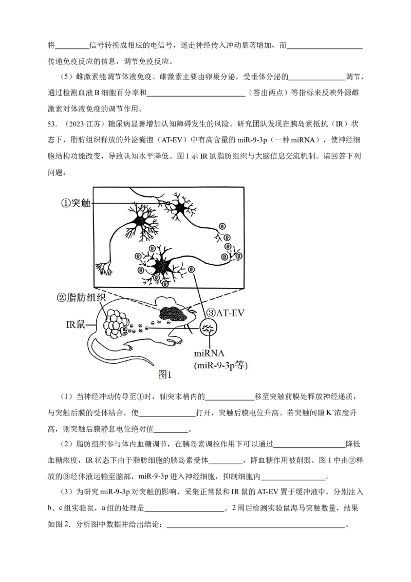 专题18体液调节_生物真题汇总_&radic;近三年（2023-2025）高考生物真题分专项精编_真题分专项汇编