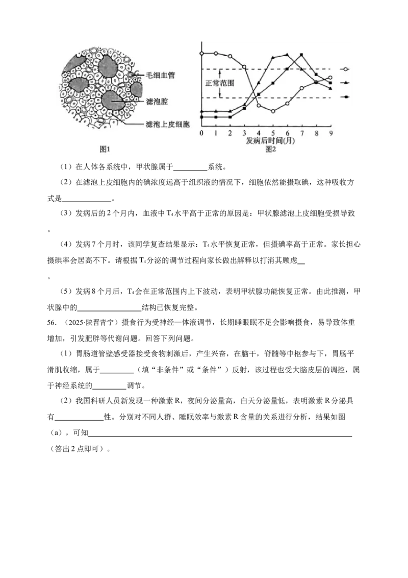 专题18体液调节_生物真题汇总_&radic;近三年（2023-2025）高考生物真题分专项精编_真题分专项汇编