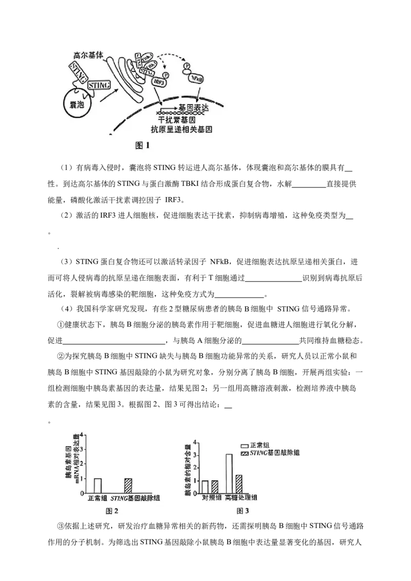 专题18体液调节_生物真题汇总_&radic;近三年（2023-2025）高考生物真题分专项精编_真题分专项汇编