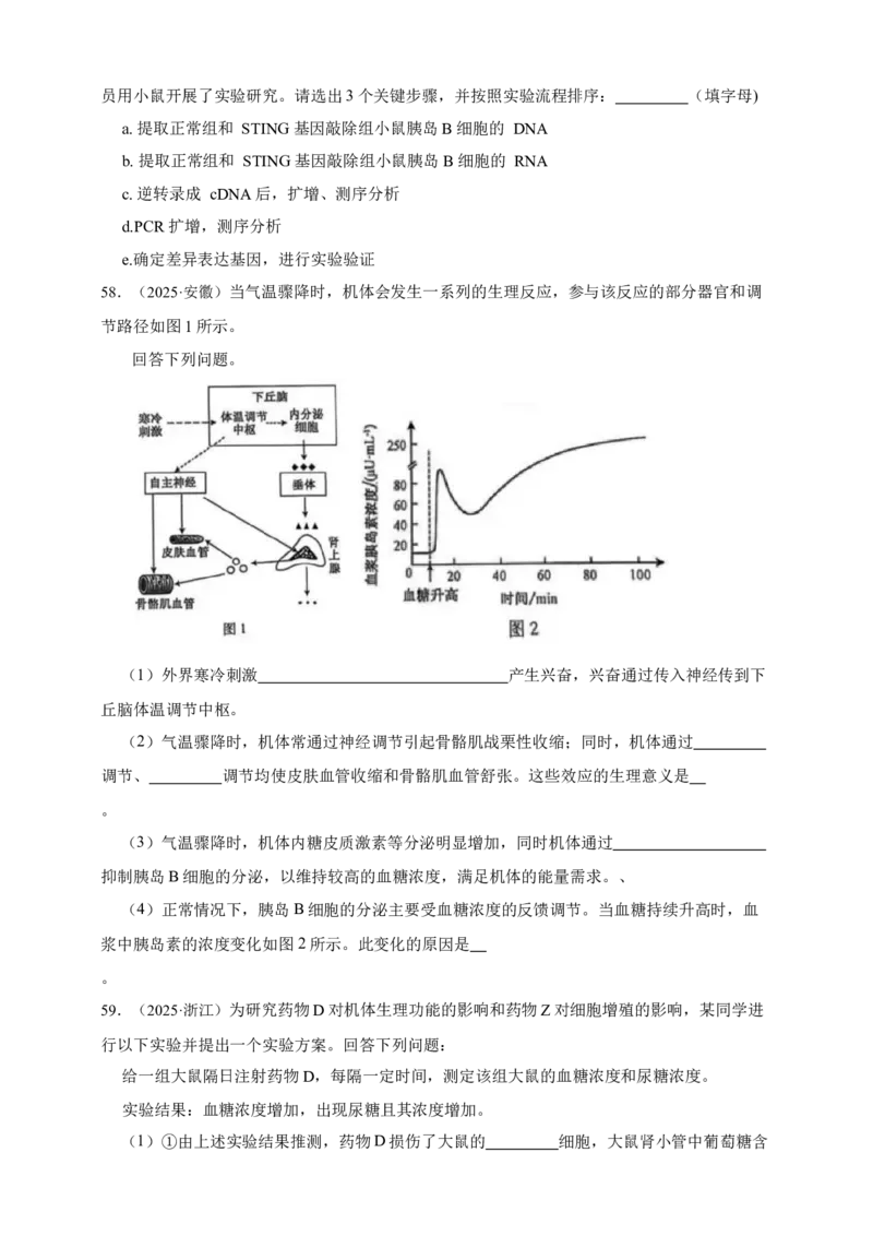 专题18体液调节_生物真题汇总_&radic;近三年（2023-2025）高考生物真题分专项精编_真题分专项汇编