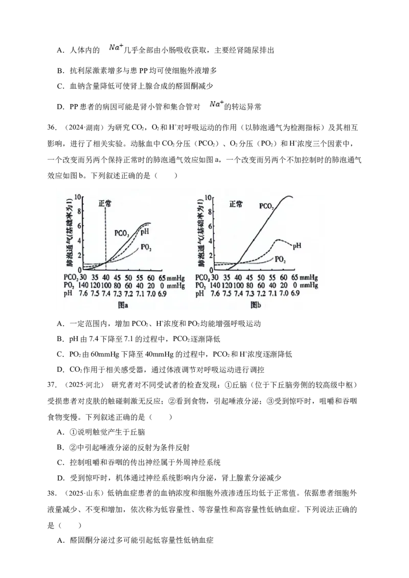 专题18体液调节_生物真题汇总_&radic;近三年（2023-2025）高考生物真题分专项精编_真题分专项汇编