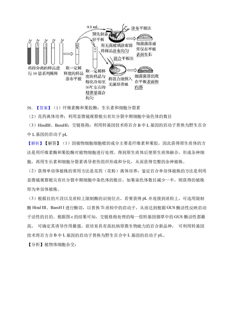 专题13变异（答案解析）_生物真题汇总_&radic;近三年（2023-2025）高考生物真题分专项精编_答案解析