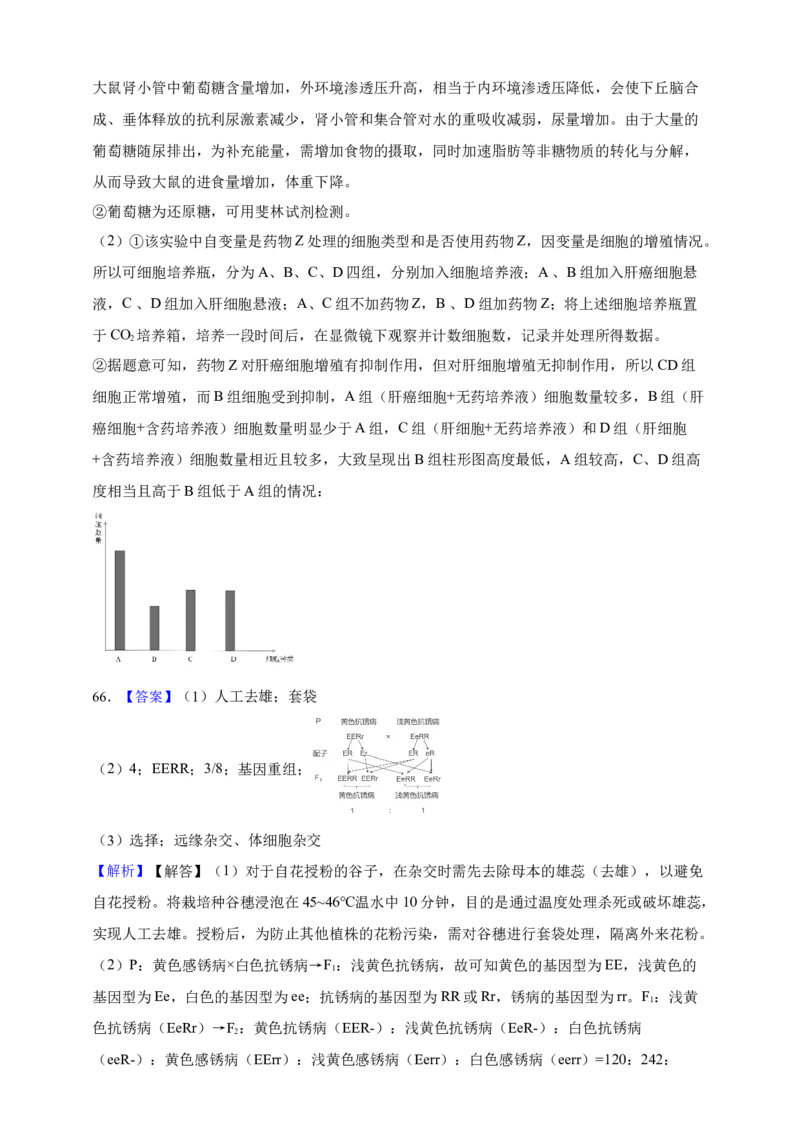 专题13变异（答案解析）_生物真题汇总_&radic;近三年（2023-2025）高考生物真题分专项精编_答案解析