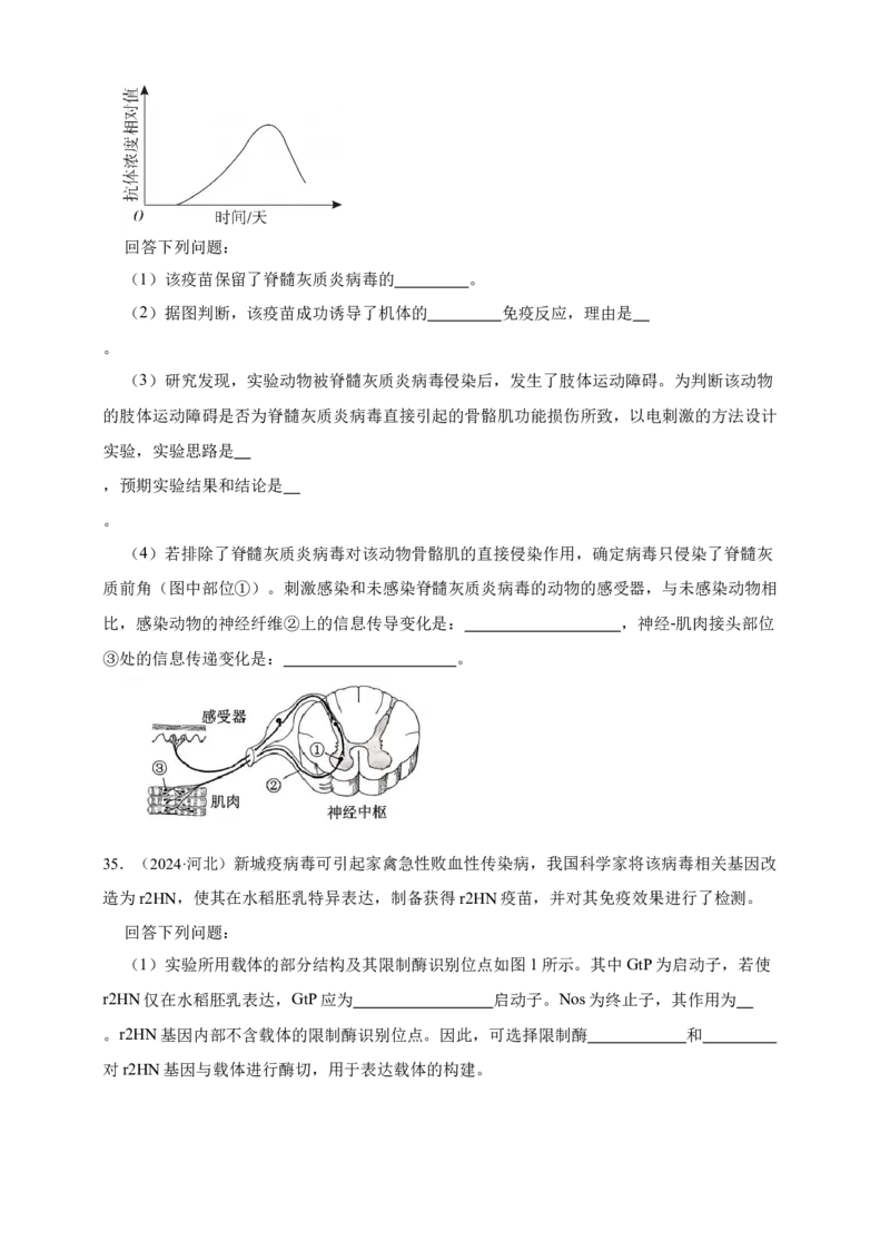 专题19免疫调节_生物真题汇总_&radic;近三年（2023-2025）高考生物真题分专项精编_真题分专项汇编