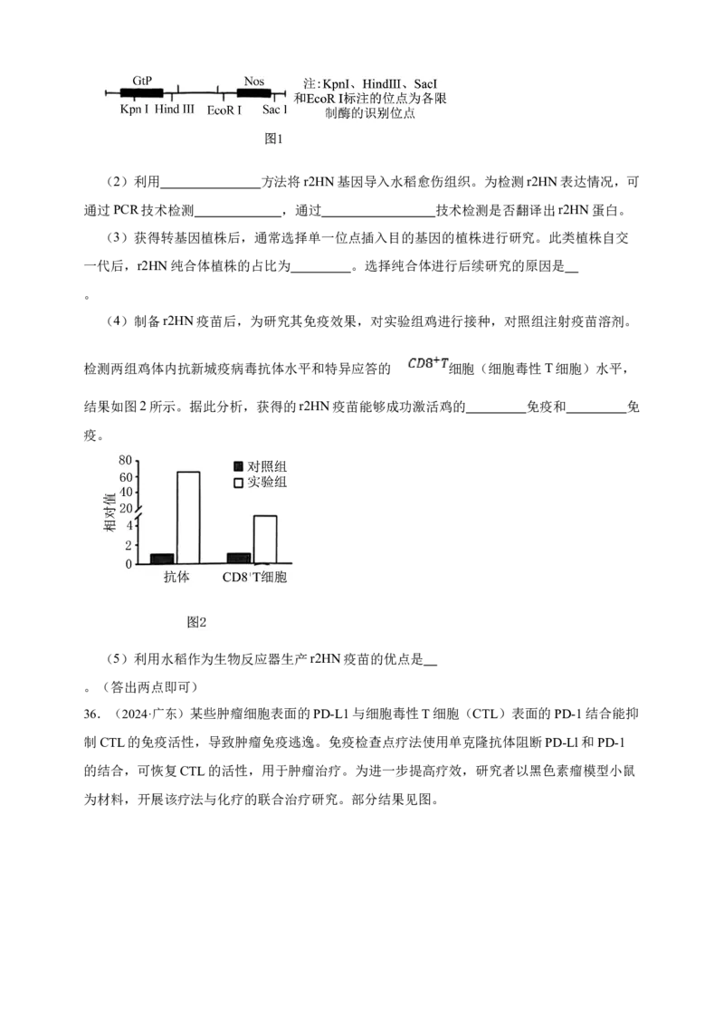 专题19免疫调节_生物真题汇总_&radic;近三年（2023-2025）高考生物真题分专项精编_真题分专项汇编