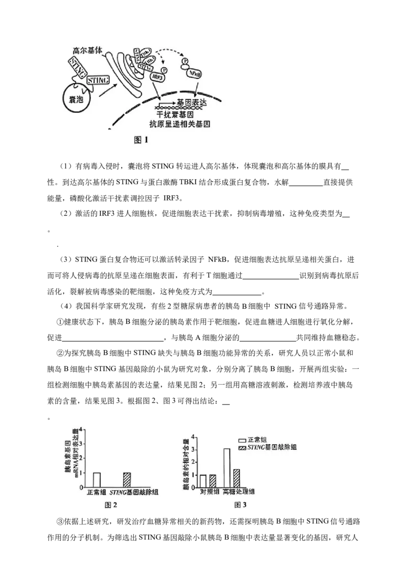 专题19免疫调节_生物真题汇总_&radic;近三年（2023-2025）高考生物真题分专项精编_真题分专项汇编