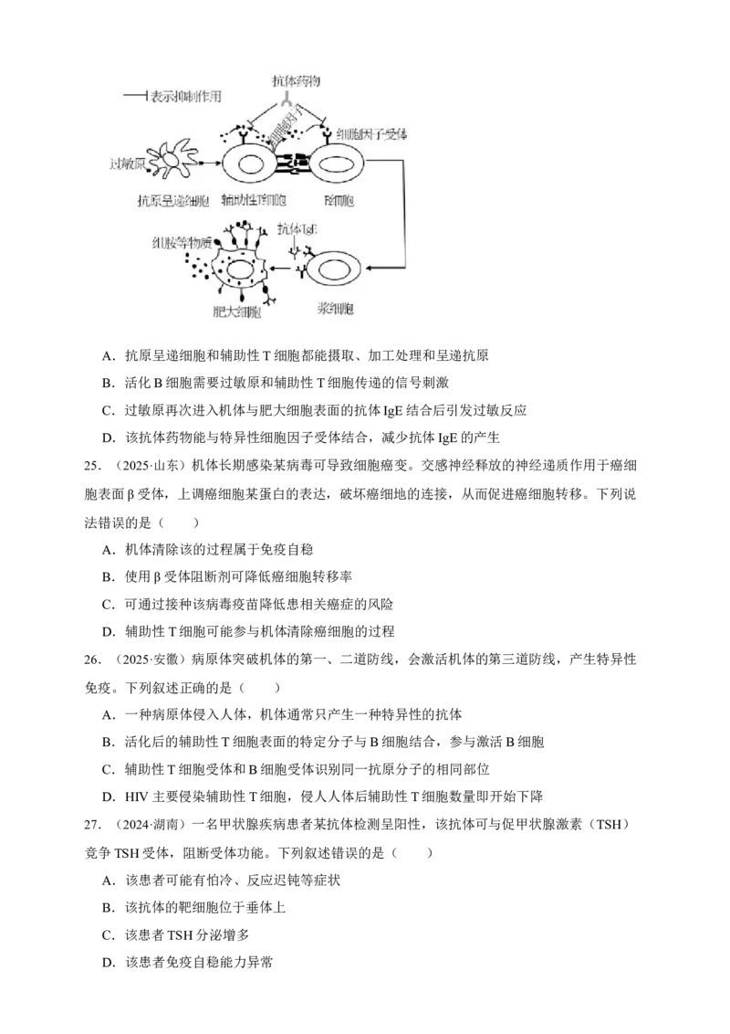 专题19免疫调节_生物真题汇总_&radic;近三年（2023-2025）高考生物真题分专项精编_真题分专项汇编