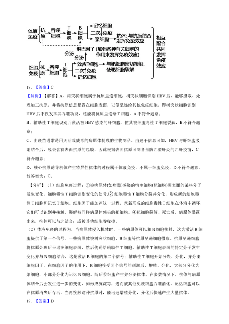 专题19免疫调节（答案解析）_生物真题汇总_&radic;近三年（2023-2025）高考生物真题分专项精编_答案解析
