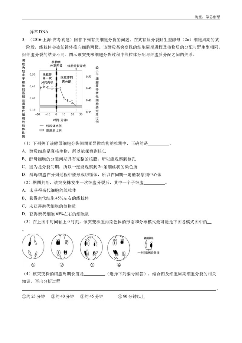 专题08有丝分裂和减数分裂-好题汇编十年（2015-2024）高考生物真题分类汇编（全国通用）（原卷版）_生物真题汇总_十年（2014-2024）高考生物真题分项汇编（全国通用）