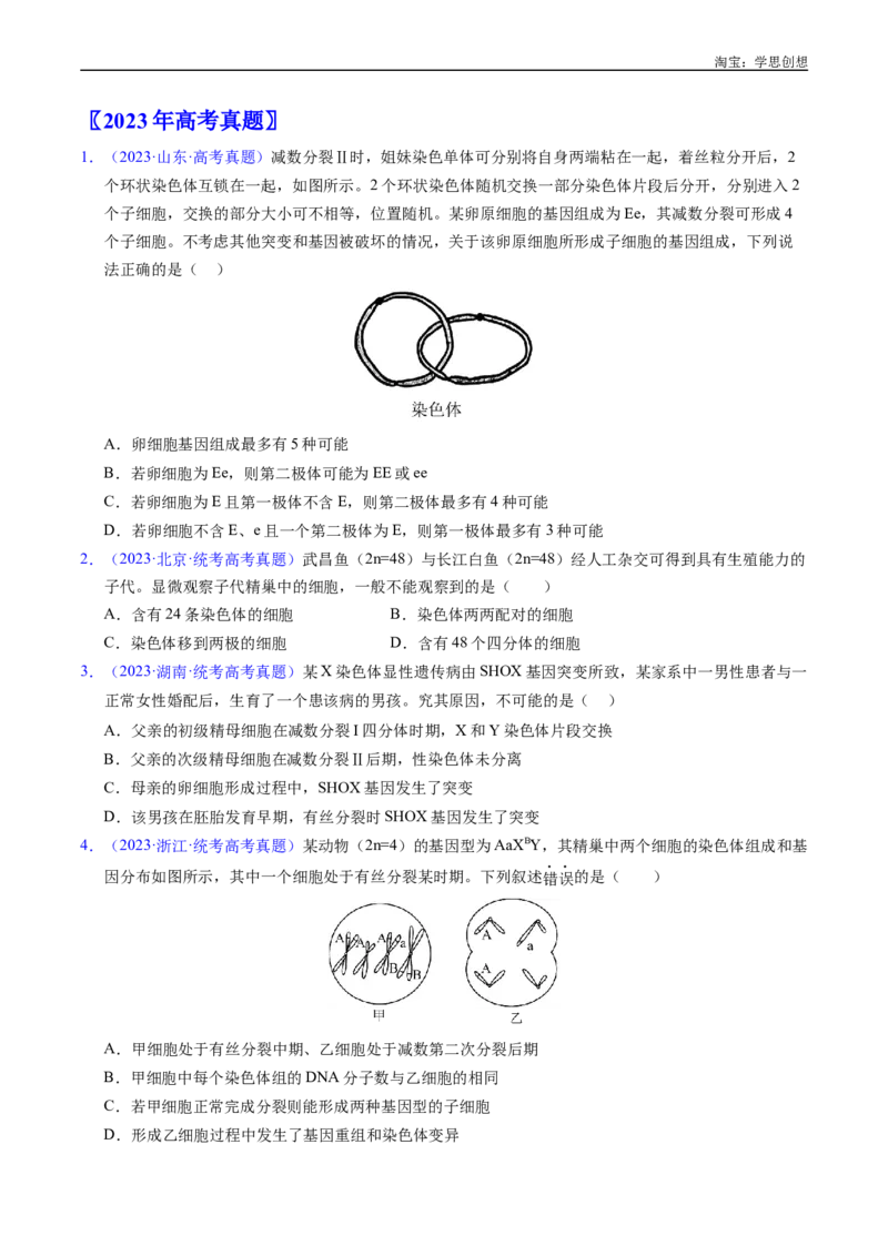 专题08有丝分裂和减数分裂-好题汇编十年（2015-2024）高考生物真题分类汇编（全国通用）（原卷版）_生物真题汇总_十年（2014-2024）高考生物真题分项汇编（全国通用）