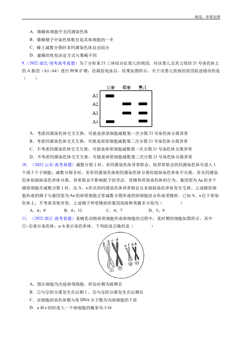专题08有丝分裂和减数分裂-好题汇编十年（2015-2024）高考生物真题分类汇编（全国通用）（原卷版）_生物真题汇总_十年（2014-2024）高考生物真题分项汇编（全国通用）
