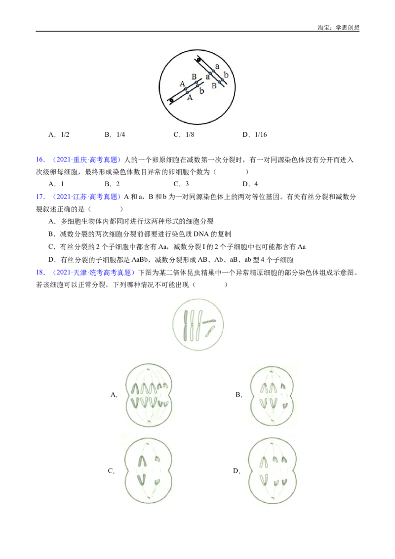 专题08有丝分裂和减数分裂-好题汇编十年（2015-2024）高考生物真题分类汇编（全国通用）（原卷版）_生物真题汇总_十年（2014-2024）高考生物真题分项汇编（全国通用）