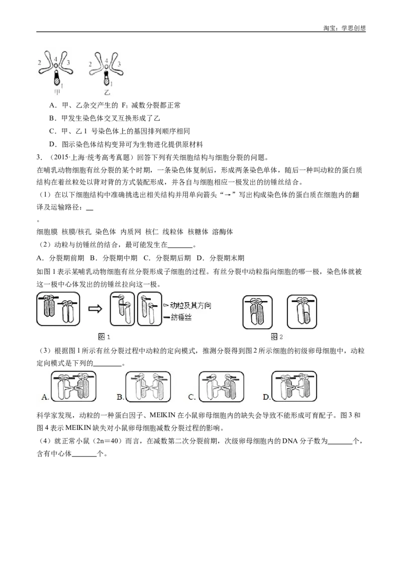 专题08有丝分裂和减数分裂-好题汇编十年（2015-2024）高考生物真题分类汇编（全国通用）（原卷版）_生物真题汇总_十年（2014-2024）高考生物真题分项汇编（全国通用）