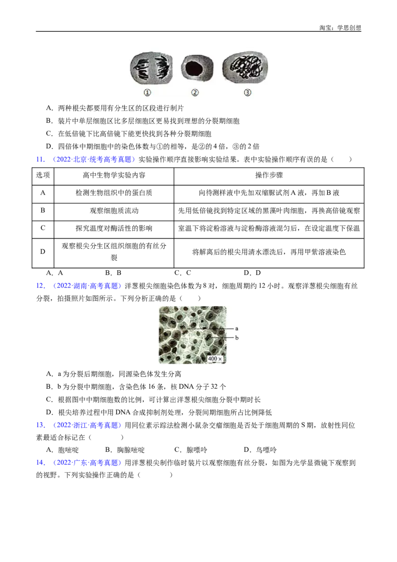 专题08有丝分裂和减数分裂-好题汇编十年（2015-2024）高考生物真题分类汇编（全国通用）（原卷版）_生物真题汇总_十年（2014-2024）高考生物真题分项汇编（全国通用）