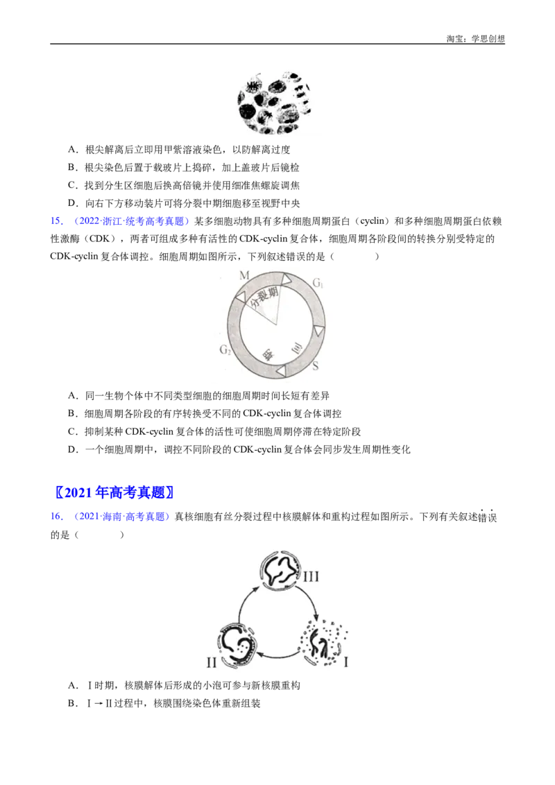 专题08有丝分裂和减数分裂-好题汇编十年（2015-2024）高考生物真题分类汇编（全国通用）（原卷版）_生物真题汇总_十年（2014-2024）高考生物真题分项汇编（全国通用）
