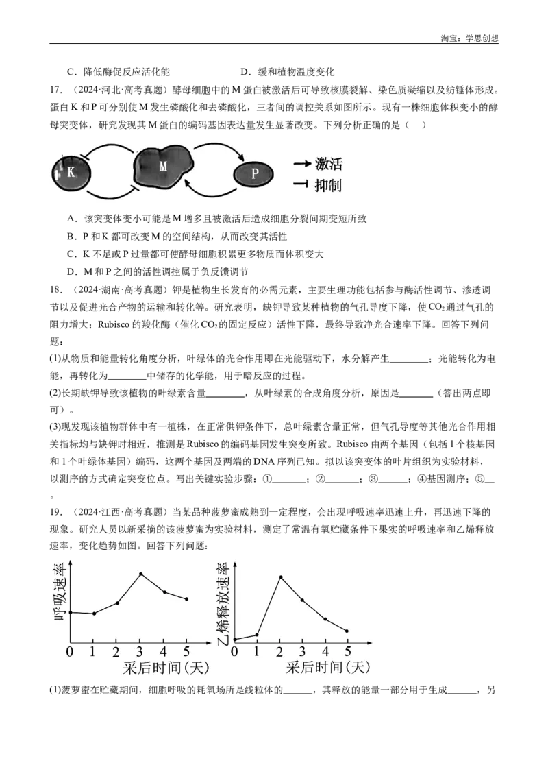 专题01细胞的分子组成（原卷版）_生物真题汇总_十年（2014-2024）高考生物真题分项汇编（全国通用）_十年（2015-2024）高考生物真题分项汇编（全国通用）