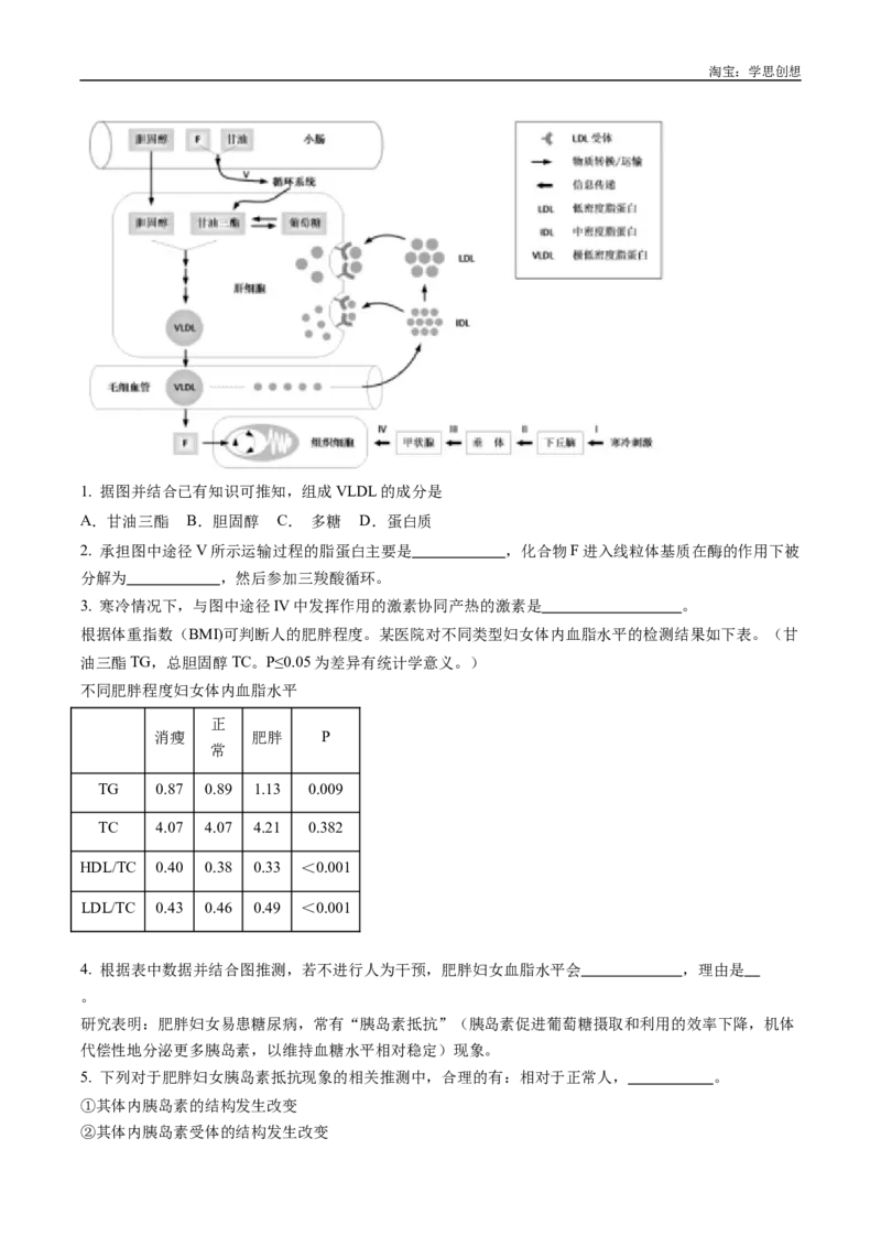 专题20动物生命活动的调节-好题汇编十年（2015-2024）高考生物真题分类汇编（全国通用）（解析版）_生物真题汇总_十年（2014-2024）高考生物真题分项汇编（全国通用）