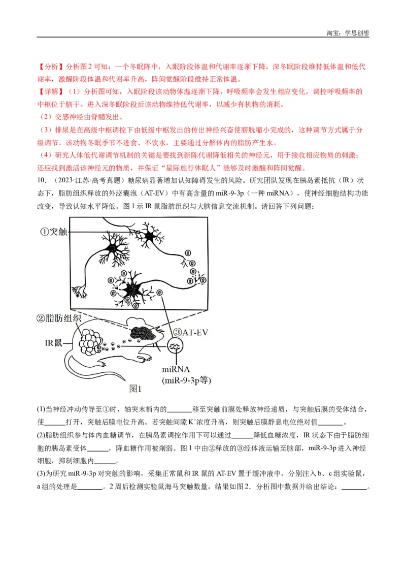专题20动物生命活动的调节-好题汇编十年（2015-2024）高考生物真题分类汇编（全国通用）（解析版）_生物真题汇总_十年（2014-2024）高考生物真题分项汇编（全国通用）