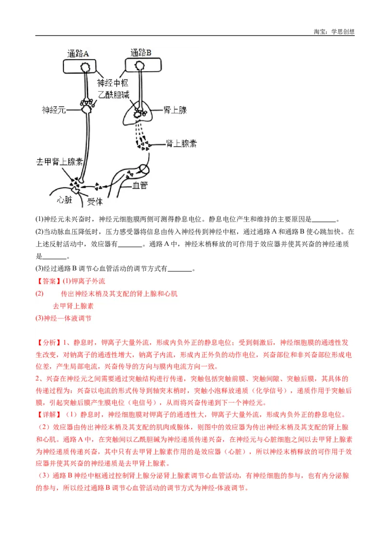 专题20动物生命活动的调节-好题汇编十年（2015-2024）高考生物真题分类汇编（全国通用）（解析版）_生物真题汇总_十年（2014-2024）高考生物真题分项汇编（全国通用）