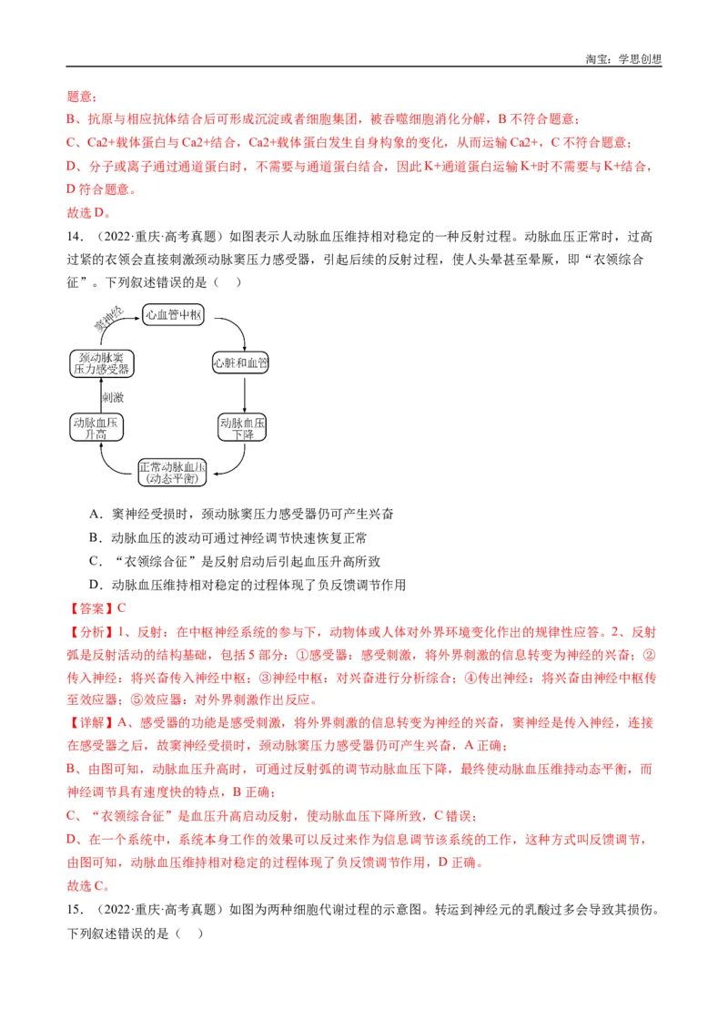 专题20动物生命活动的调节-好题汇编十年（2015-2024）高考生物真题分类汇编（全国通用）（解析版）_生物真题汇总_十年（2014-2024）高考生物真题分项汇编（全国通用）