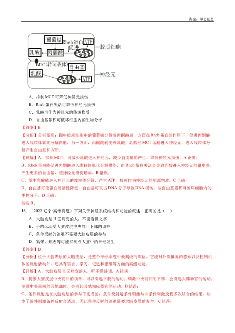 专题20动物生命活动的调节-好题汇编十年（2015-2024）高考生物真题分类汇编（全国通用）（解析版）_生物真题汇总_十年（2014-2024）高考生物真题分项汇编（全国通用）