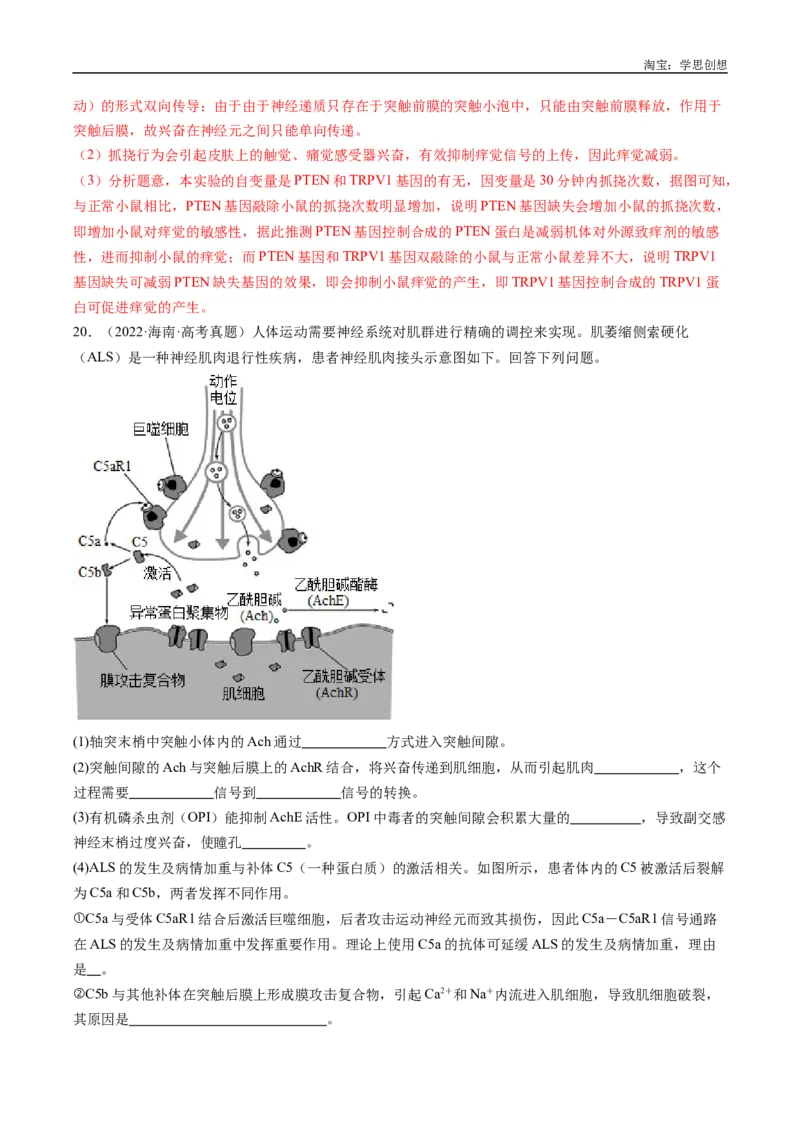 专题20动物生命活动的调节-好题汇编十年（2015-2024）高考生物真题分类汇编（全国通用）（解析版）_生物真题汇总_十年（2014-2024）高考生物真题分项汇编（全国通用）