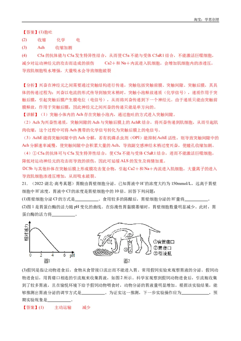 专题20动物生命活动的调节-好题汇编十年（2015-2024）高考生物真题分类汇编（全国通用）（解析版）_生物真题汇总_十年（2014-2024）高考生物真题分项汇编（全国通用）