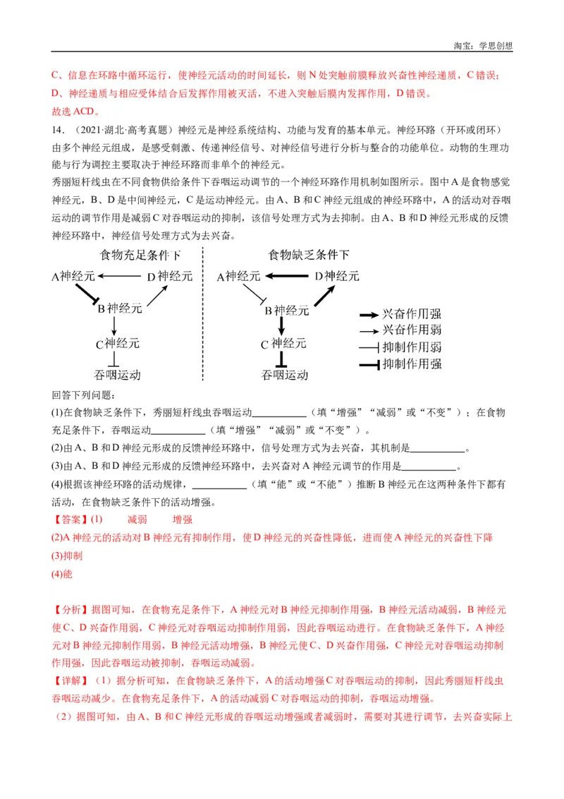 专题20动物生命活动的调节-好题汇编十年（2015-2024）高考生物真题分类汇编（全国通用）（解析版）_生物真题汇总_十年（2014-2024）高考生物真题分项汇编（全国通用）