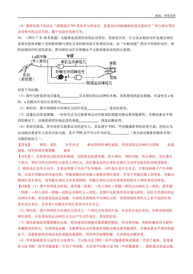 专题20动物生命活动的调节-好题汇编十年（2015-2024）高考生物真题分类汇编（全国通用）（解析版）_生物真题汇总_十年（2014-2024）高考生物真题分项汇编（全国通用）