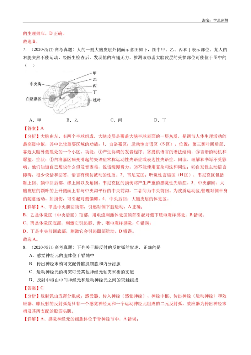 专题20动物生命活动的调节-好题汇编十年（2015-2024）高考生物真题分类汇编（全国通用）（解析版）_生物真题汇总_十年（2014-2024）高考生物真题分项汇编（全国通用）