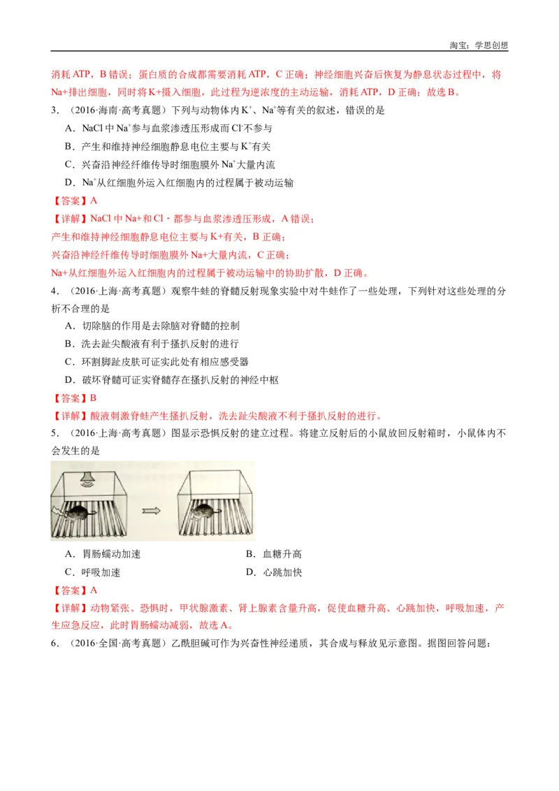 专题20动物生命活动的调节-好题汇编十年（2015-2024）高考生物真题分类汇编（全国通用）（解析版）_生物真题汇总_十年（2014-2024）高考生物真题分项汇编（全国通用）