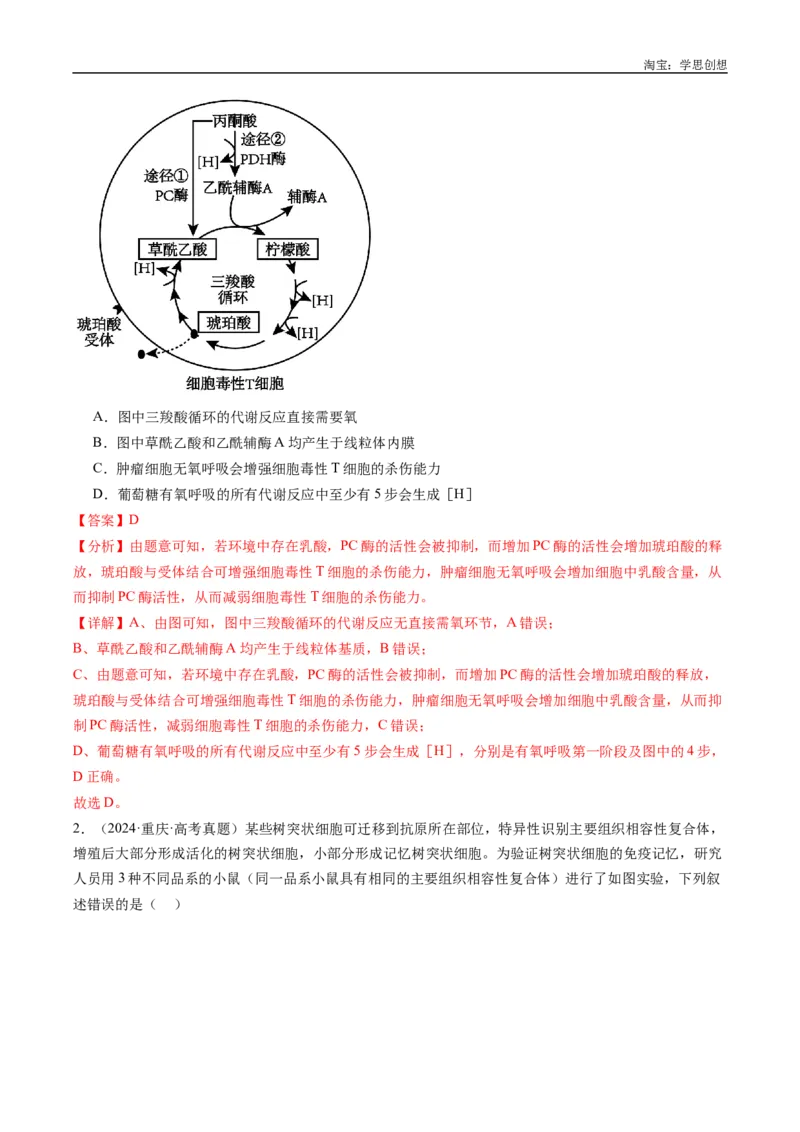 专题20动物生命活动的调节-好题汇编十年（2015-2024）高考生物真题分类汇编（全国通用）（解析版）_生物真题汇总_十年（2014-2024）高考生物真题分项汇编（全国通用）